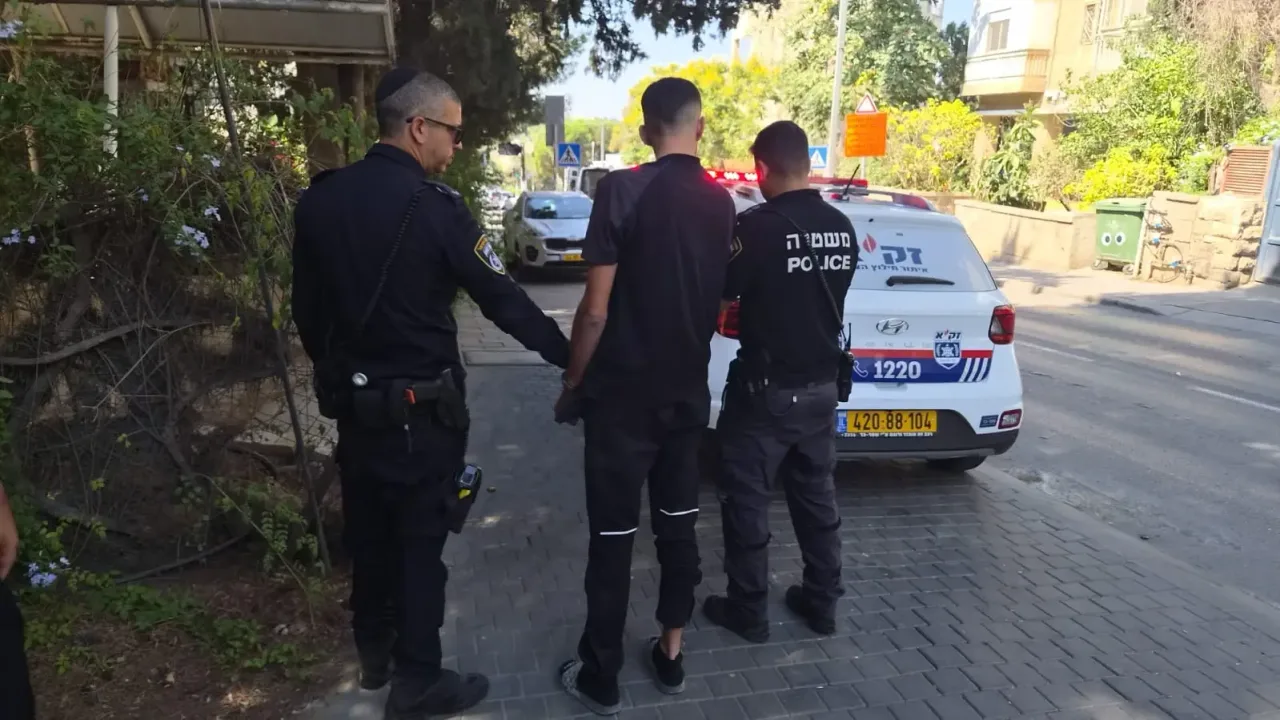 Обложка источника: В Иерусалиме водитель грузовика сбил пешеходку