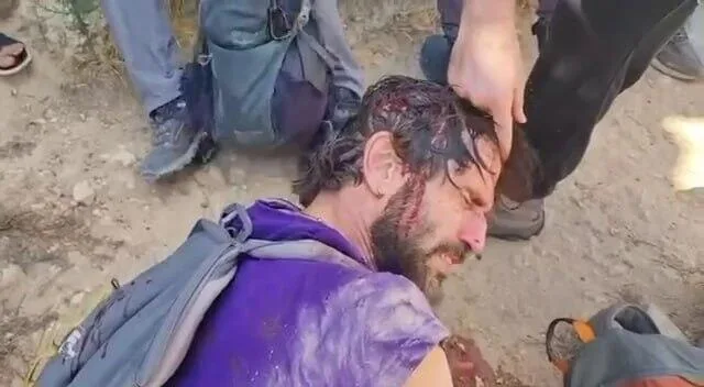 Обложка источника: Напряженность на Западном берегу в начале сезона сбора урожая