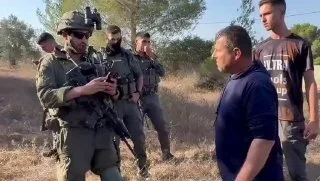 Обложка источника: ЦАХАЛ ограничил сбор оливок палестинцами из-за присутствия активистов