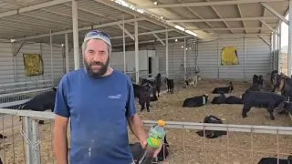 Обложка источника: Опровержение обвинений в отравлении скота поселенцами