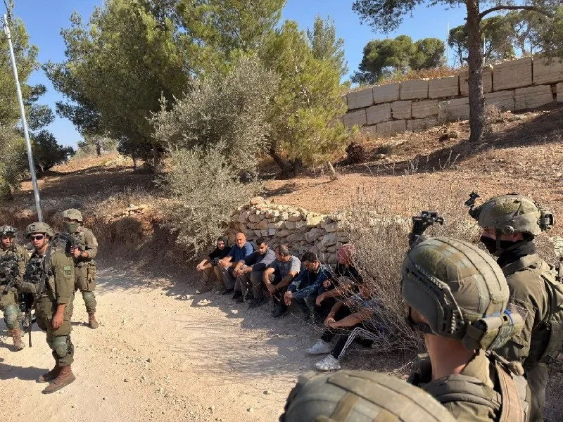 Обложка источника: Столкновения в районе поселения Авитар