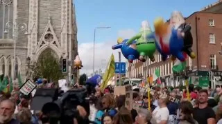 Обложка источника: В Дублине прошли протесты против визита Трампа