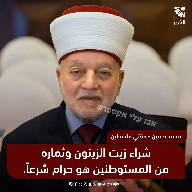 Обложка источника: Палестинский муфтий запретил покупку оливок у поселенцев