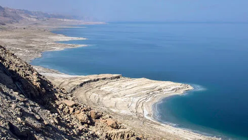 Обложка источника: Производитель косметики Pluma Dead Sea подал заявление о реструктуризации долга