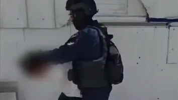 Обложка источника: Критика условий задержания подозреваемой в убийстве Бинью Рази